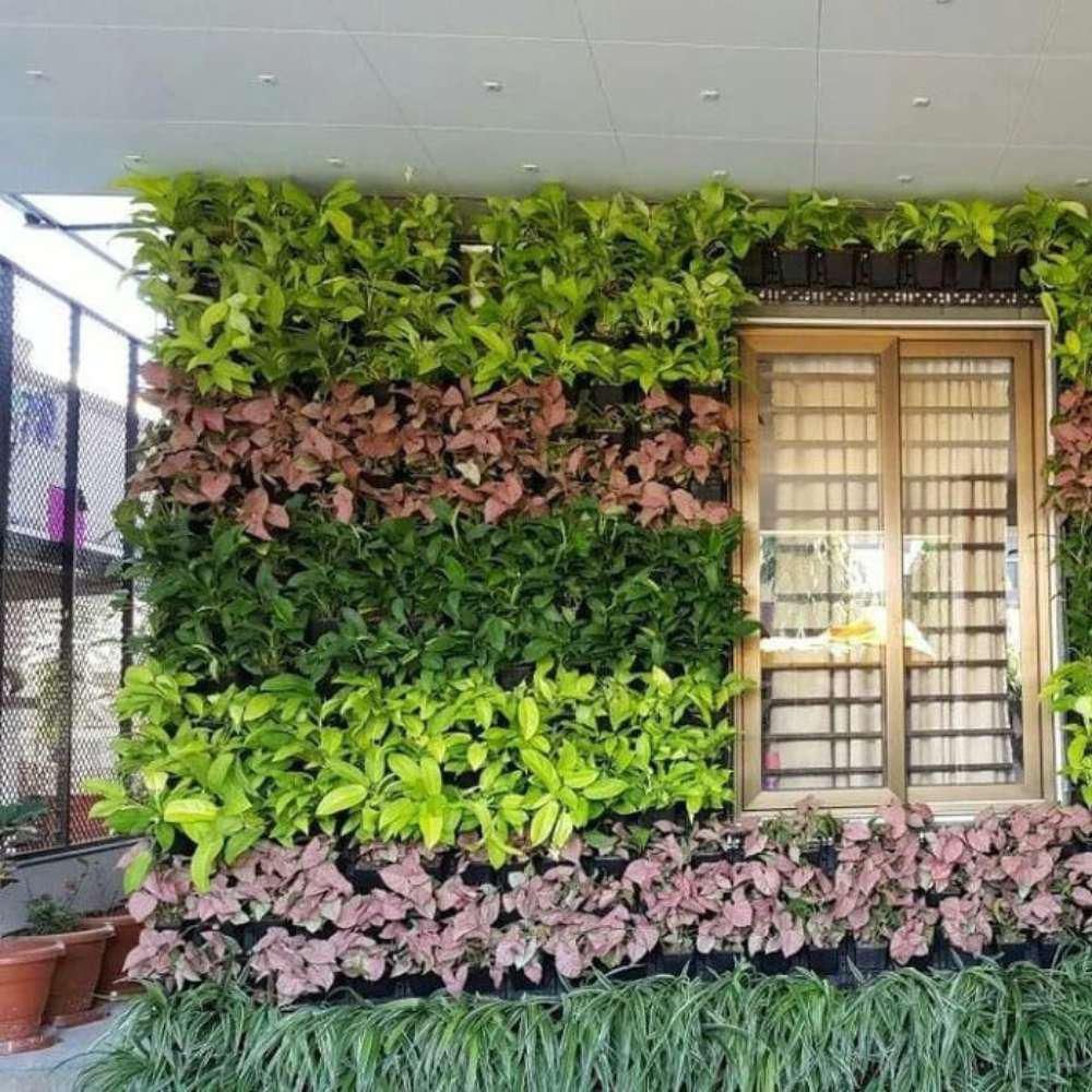 Ghar Sansar - Natural Vertical Grass 12